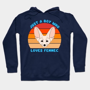 Vintage Just a boy who loves fennec. Cute little fox. Hoodie